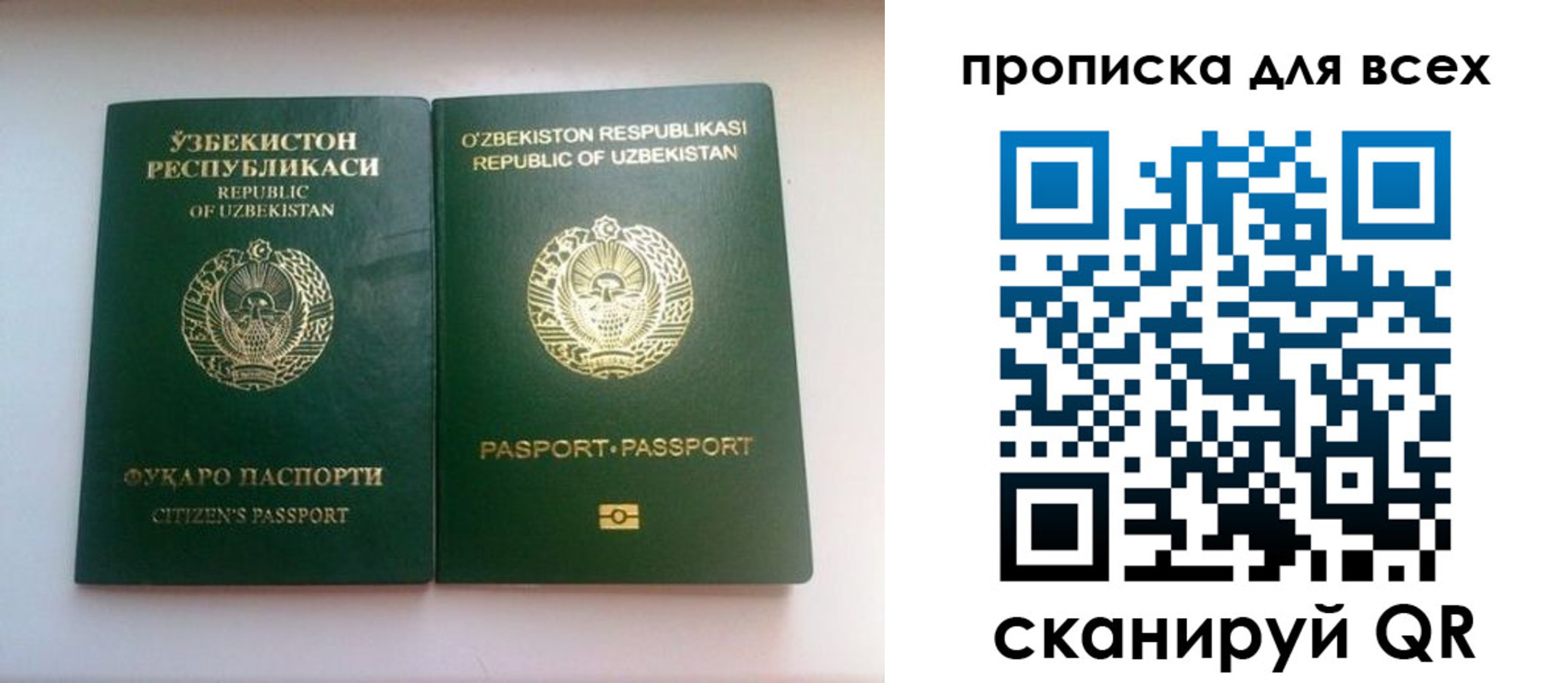 прописка для школы в Волгоградской области